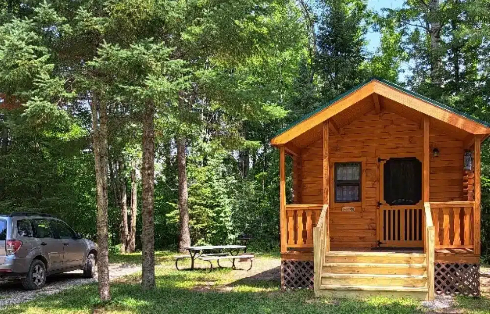 rv parks near higgins lake mi